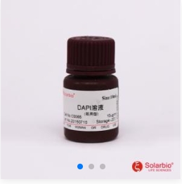 索莱宝 Solarbio DAPI溶液(10ug/ml，即用型) C0065