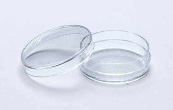 Falcon 353001 35x10mm细胞培养皿，聚苯乙烯，标准TC，带盖，已灭菌