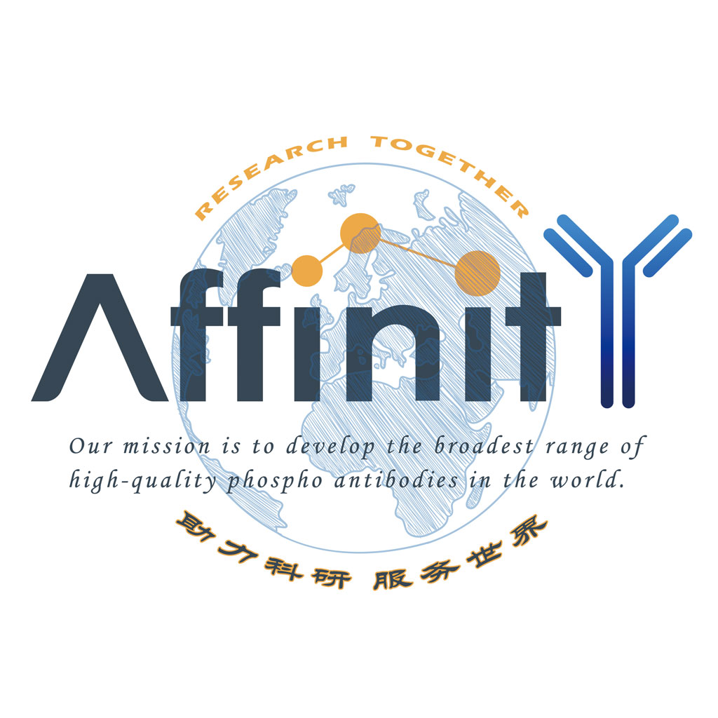 Affinity KF8005 双敏化学发光试剂(ECLReagent)(皮克+飞克)