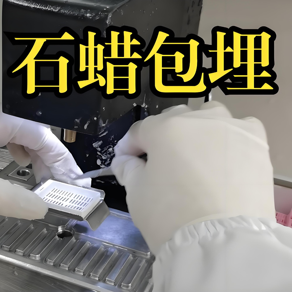 未脱钙骨硬组织包埋