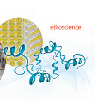 ANTI-MO CD206 MR6F3 APC 25UG