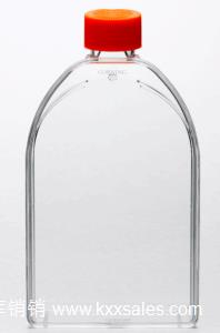 康宁Corning 43064 175cm正方斜口细胞培养瓶 透气盖