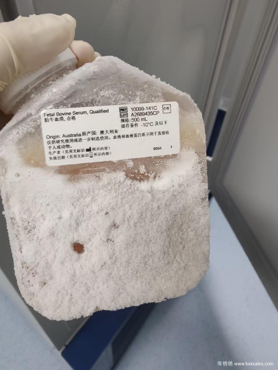 澳洲胎牛血清
