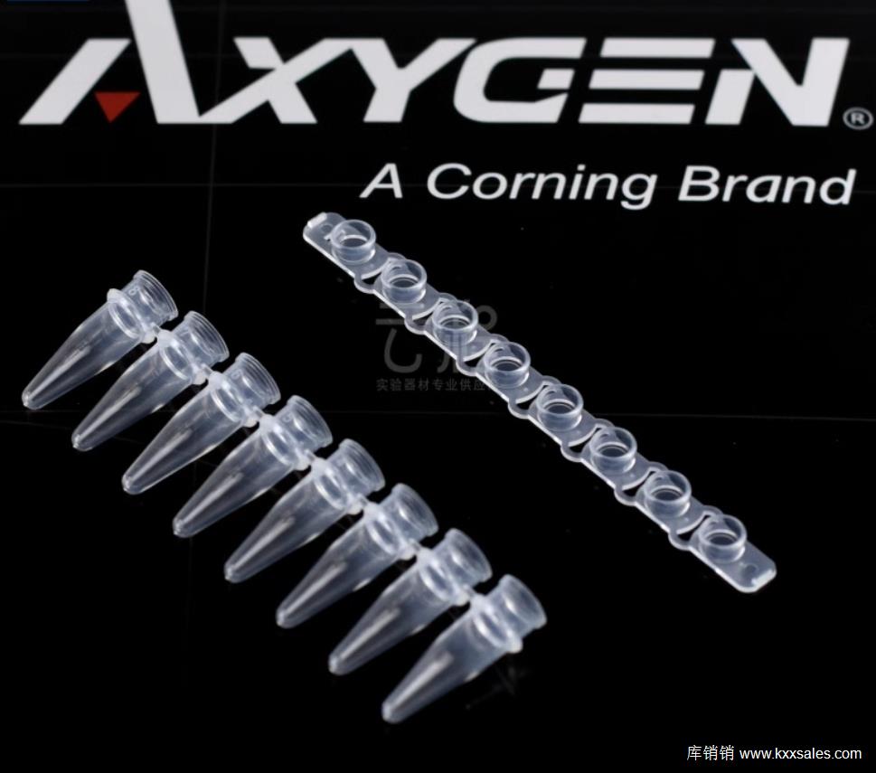 Axygen 爱思进 PCR排管盖 for real time PCR, thin wall, size 0.2 mL，透明