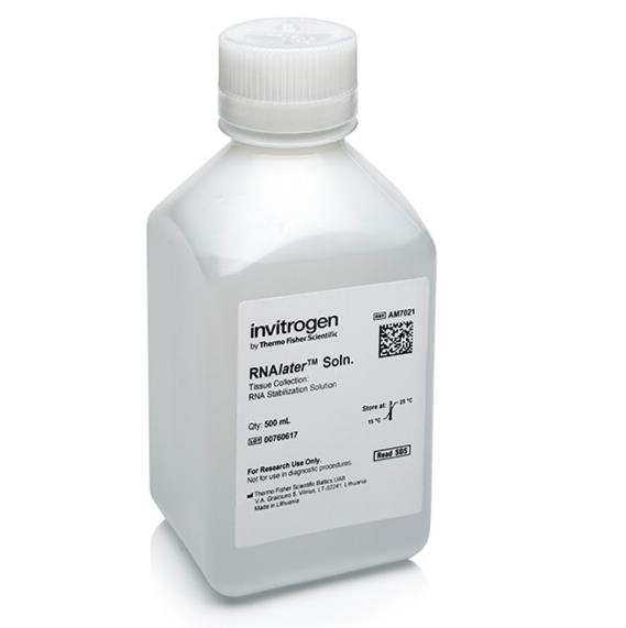 ThermoFisher 赛默飞 RNAlater 稳定液