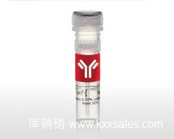CD45 Monoclonal Antibody (30-F11), PE-Cyanine7, eBioscience™