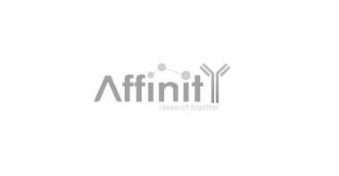 Affinity KF8005 双敏化学发光试剂(ECLReagent)(皮克+飞克)