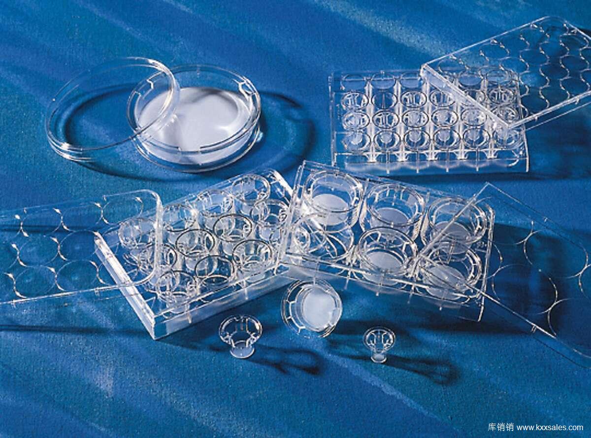 康宁Corning 24 mm Transwell® 8.0 µm孔径聚碳酸酯膜小室，无菌